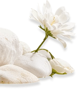 Yuyao Shangjia Plastic Industry Co., Ltd.